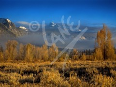WYOMING Grand Tetons